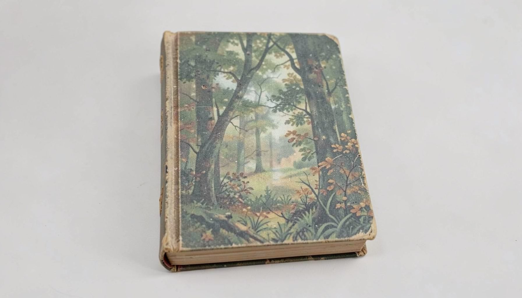 A rustic, weathered book cover with woodland imagery in muted greens and browns