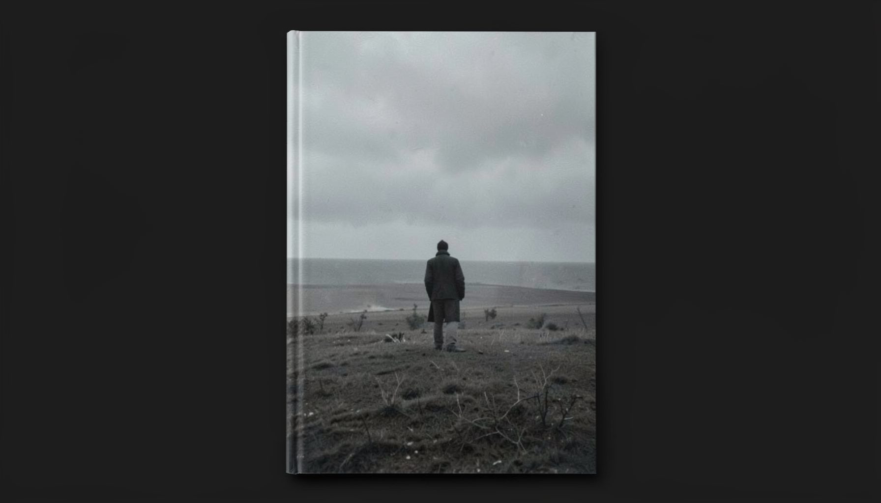 A bleak, atmospheric book cover with muted grays and a lone figure against a barren horizon